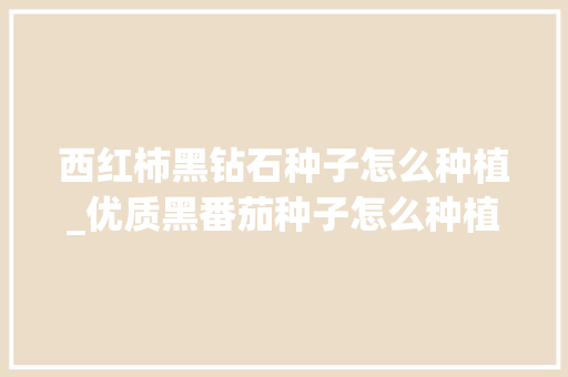 西红柿黑钻石种子怎么种植_优质黑番茄种子怎么种植的 西红柿黑钻石种子怎么种植_优质黑番茄种子怎么种植的 土壤施肥