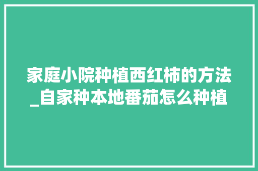 家庭小院种植西红柿的方法_自家种本地番茄怎么种植的 家庭小院种植西红柿的方法_自家种本地番茄怎么种植的 花朵知识