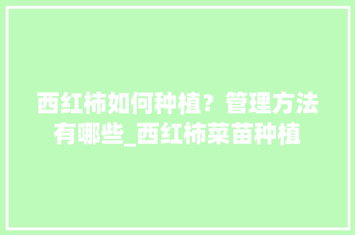 西红柿如何种植？管理方法有哪些_西红柿菜苗种植 西红柿如何种植？管理方法有哪些_西红柿菜苗种植 番茄种植技巧