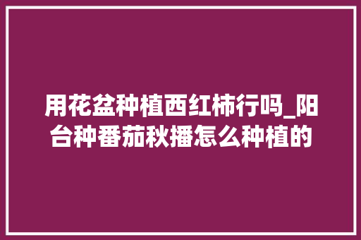 用花盆种植西红柿行吗_阳台种番茄秋播怎么种植的
