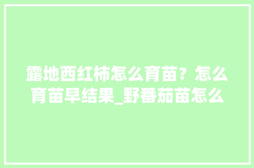 露地西红柿怎么育苗？怎么育苗早结果_野番茄苗怎么种植视频 露地西红柿怎么育苗？怎么育苗早结果_野番茄苗怎么种植视频 农业常识