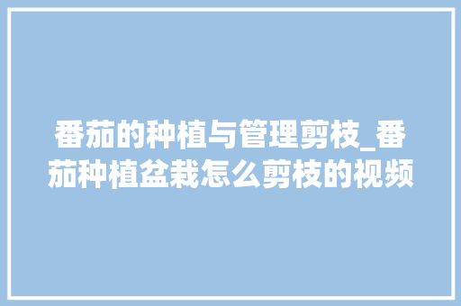 番茄的种植与管理剪枝_番茄种植盆栽怎么剪枝的视频