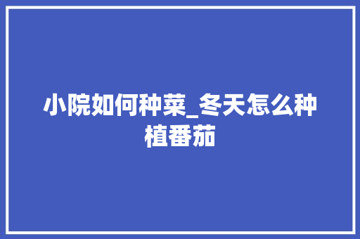 小院如何种菜_冬天怎么种植番茄 小院如何种菜_冬天怎么种植番茄 植物种类