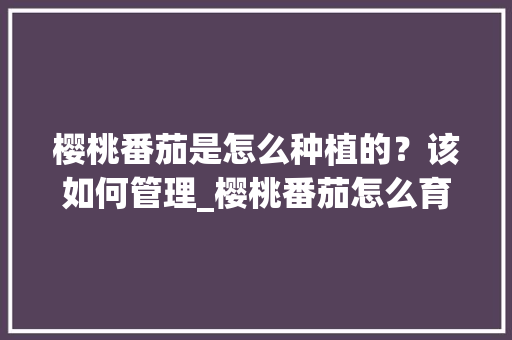 樱桃番茄是怎么种植的？该如何管理_樱桃番茄怎么育苗种植视频 樱桃番茄是怎么种植的？该如何管理_樱桃番茄怎么育苗种植视频 番茄种植技巧