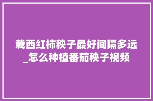 栽西红柿秧子最好间隔多远_怎么种植番茄秧子视频 栽西红柿秧子最好间隔多远_怎么种植番茄秧子视频 番茄病虫害防治