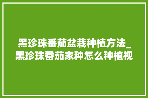 黑珍珠番茄盆栽种植方法_黑珍珠番茄家种怎么种植视频 黑珍珠番茄盆栽种植方法_黑珍珠番茄家种怎么种植视频 种植技巧