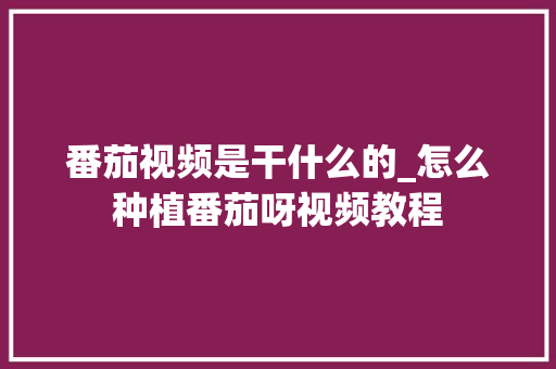 番茄视频是干什么的_怎么种植番茄呀视频教程