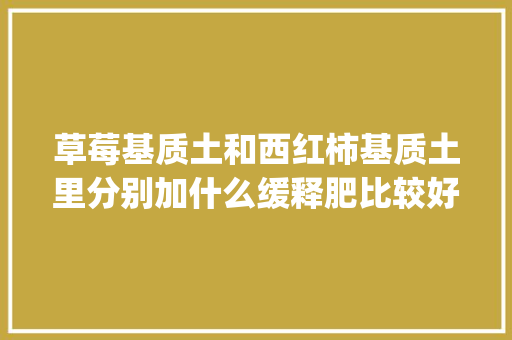 草莓基质土和西红柿基质土里分别加什么缓释肥比较好_番茄草莓盆栽怎么种植的视频 草莓基质土和西红柿基质土里分别加什么缓释肥比较好_番茄草莓盆栽怎么种植的视频 农业常识