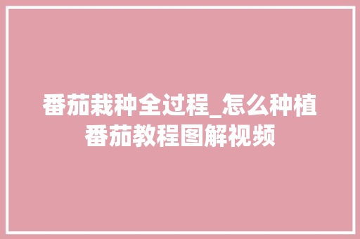 番茄栽种全过程_怎么种植番茄教程图解视频 番茄栽种全过程_怎么种植番茄教程图解视频 种植技巧