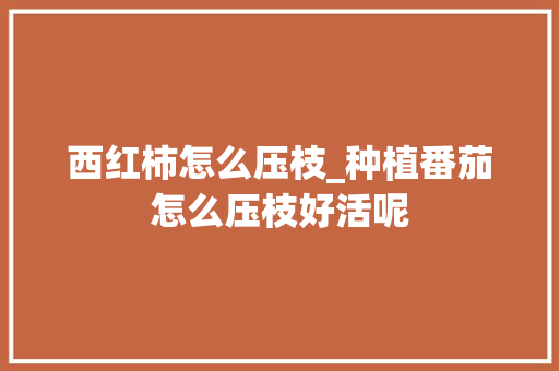 西红柿怎么压枝_种植番茄怎么压枝好活呢 西红柿怎么压枝_种植番茄怎么压枝好活呢 番茄种植技巧