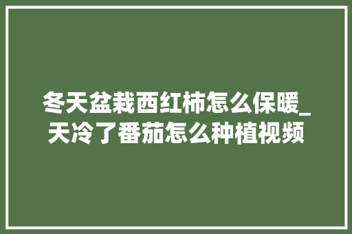 冬天盆栽西红柿怎么保暖_天冷了番茄怎么种植视频