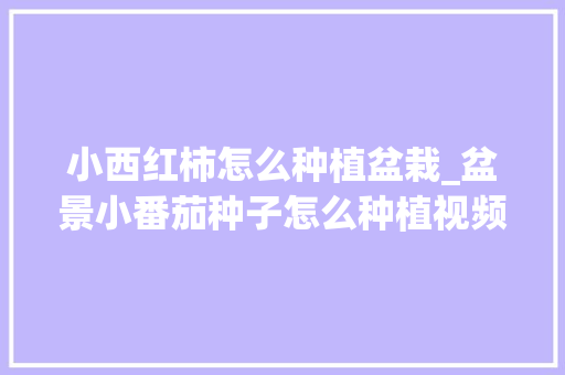 小西红柿怎么种植盆栽_盆景小番茄种子怎么种植视频 农业常识 小西红柿怎么种植盆栽_盆景小番茄种子怎么种植视频 小西红柿怎么种植盆栽_盆景小番茄种子怎么种植视频 农业常识