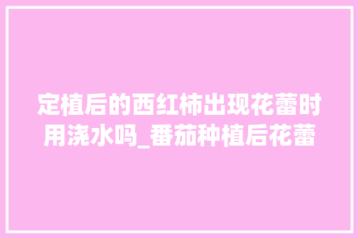 定植后的西红柿出现花蕾时用浇水吗_番茄种植后花蕾怎么处理好
