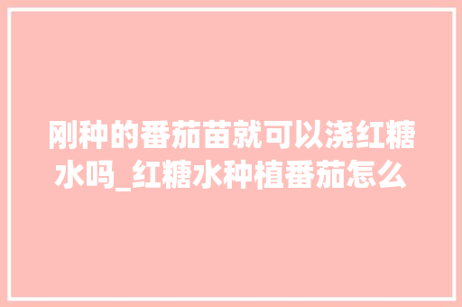 刚种的番茄苗就可以浇红糖水吗_红糖水种植番茄怎么种植