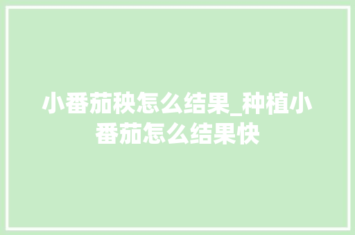 小番茄秧怎么结果_种植小番茄怎么结果快