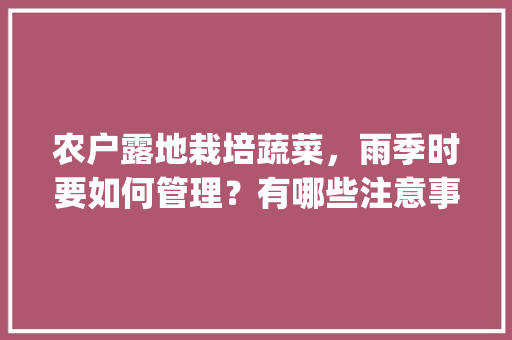农户露地栽培蔬菜，雨季时要如何管理？有哪些注意事项_番茄种植雨季怎么管理好