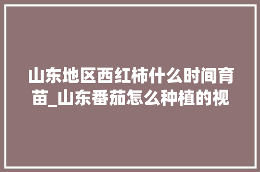 山东地区西红柿什么时间育苗_山东番茄怎么种植的视频 山东地区西红柿什么时间育苗_山东番茄怎么种植的视频 番茄种植技巧