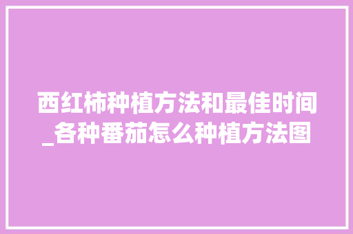 西红柿种植方法和最佳时间_各种番茄怎么种植方法图片大全 西红柿种植方法和最佳时间_各种番茄怎么种植方法图片大全 农业常识
