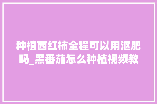 种植西红柿全程可以用沤肥吗_黑番茄怎么种植视频教学全集