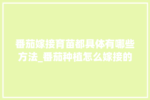 番茄嫁接育苗都具体有哪些方法_番茄种植怎么嫁接的图片大全
