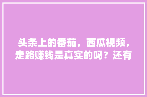 头条上的番茄，西瓜视频，走路赚钱是真实的吗？还有拼多多_培养土怎么种植番茄视频教程 头条上的番茄，西瓜视频，走路赚钱是真实的吗？还有拼多多_培养土怎么种植番茄视频教程 种植技巧