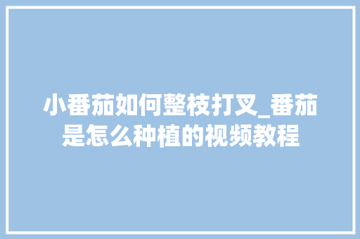小番茄如何整枝打叉_番茄是怎么种植的视频教程 小番茄如何整枝打叉_番茄是怎么种植的视频教程 番茄病虫害防治
