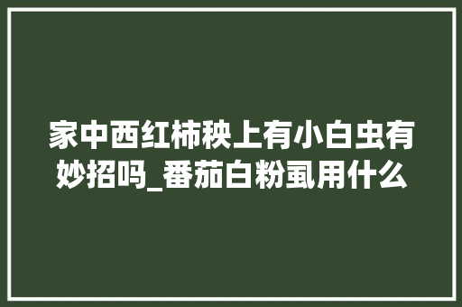 家中西红柿秧上有小白虫有妙招吗_番茄白粉虱用什么药效果好