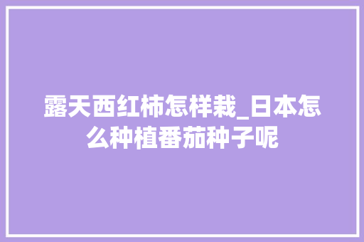 露天西红柿怎样栽_日本怎么种植番茄种子呢 露天西红柿怎样栽_日本怎么种植番茄种子呢 番茄种植技巧
