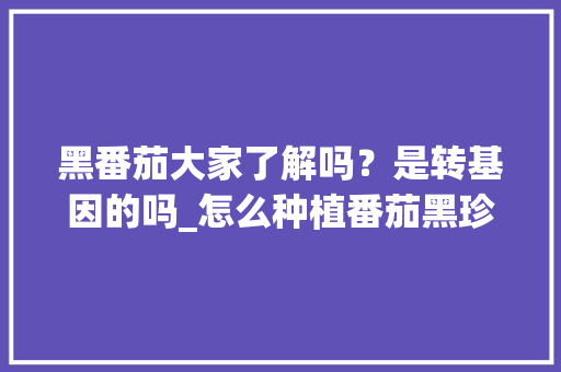 黑番茄大家了解吗？是转基因的吗_怎么种植番茄黑珍珠视频 黑番茄大家了解吗？是转基因的吗_怎么种植番茄黑珍珠视频 土壤施肥