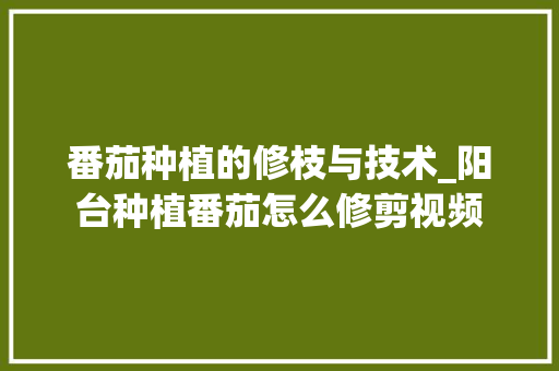 番茄种植的修枝与技术_阳台种植番茄怎么修剪视频