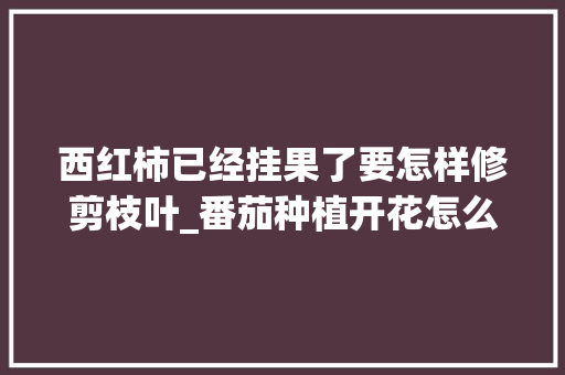 西红柿已经挂果了要怎样修剪枝叶_番茄种植开花怎么修剪视频 西红柿已经挂果了要怎样修剪枝叶_番茄种植开花怎么修剪视频 植物种类