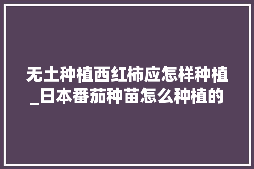 无土种植西红柿应怎样种植_日本番茄种苗怎么种植的视频 无土种植西红柿应怎样种植_日本番茄种苗怎么种植的视频 花朵知识