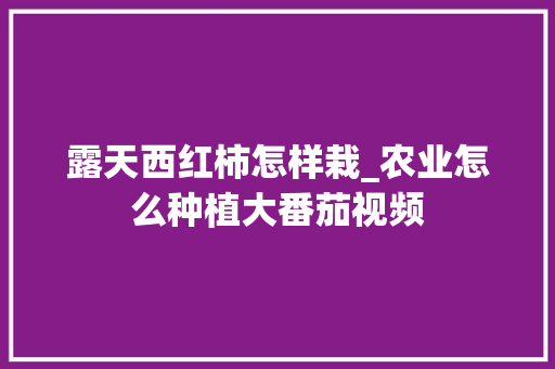 露天西红柿怎样栽_农业怎么种植大番茄视频 露天西红柿怎样栽_农业怎么种植大番茄视频 植物种类