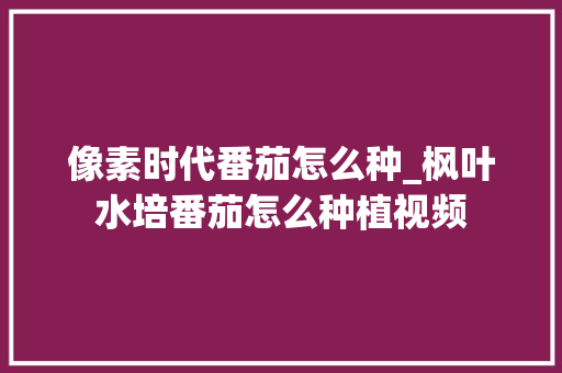 像素时代番茄怎么种_枫叶水培番茄怎么种植视频