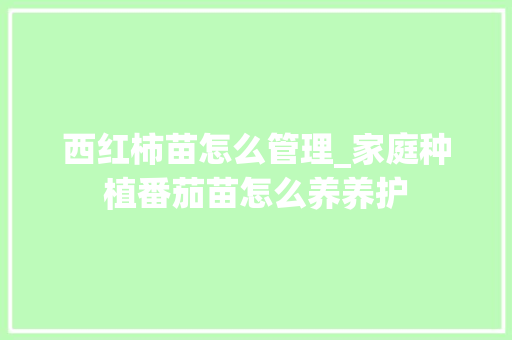 西红柿苗怎么管理_家庭种植番茄苗怎么养养护 西红柿苗怎么管理_家庭种植番茄苗怎么养养护 农业常识