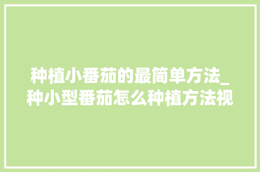 种植小番茄的最简单方法_种小型番茄怎么种植方法视频 种植小番茄的最简单方法_种小型番茄怎么种植方法视频 植物种类