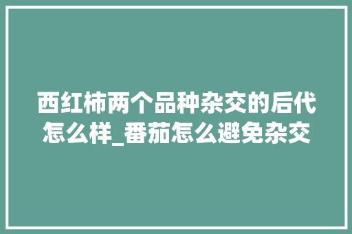 西红柿两个品种杂交的后代怎么样_番茄怎么避免杂交种植呢