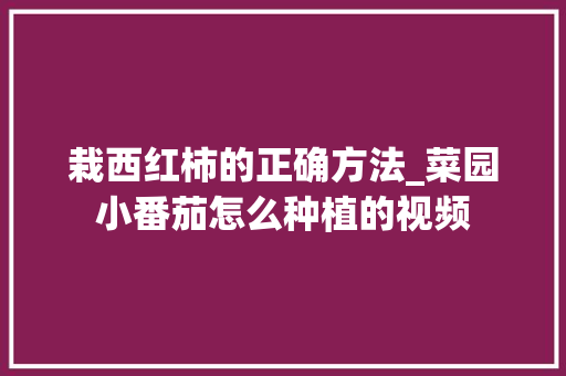 栽西红柿的正确方法_菜园小番茄怎么种植的视频 栽西红柿的正确方法_菜园小番茄怎么种植的视频 种植技巧