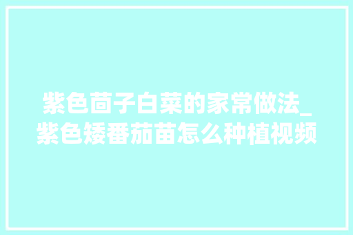 紫色茴子白菜的家常做法_紫色矮番茄苗怎么种植视频