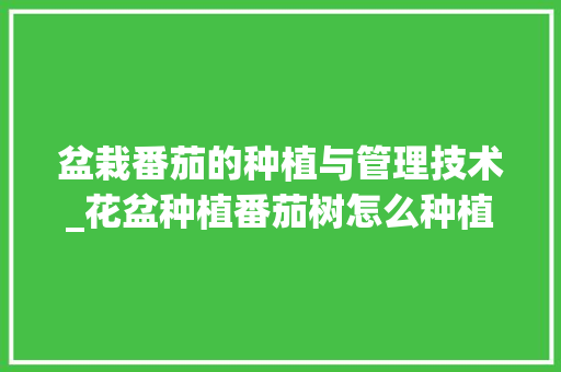 盆栽番茄的种植与管理技术_花盆种植番茄树怎么种植视频 盆栽番茄的种植与管理技术_花盆种植番茄树怎么种植视频 种植技巧