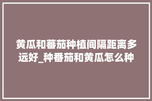 黄瓜和蕃茄种植间隔距离多远好_种番茄和黄瓜怎么种植视频 黄瓜和蕃茄种植间隔距离多远好_种番茄和黄瓜怎么种植视频 种植技巧