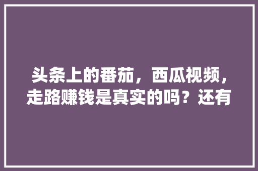头条上的番茄,西瓜视频,走路赚钱是真实的吗?还有拼多多_折枝的番茄怎么种植视频教程 土壤施肥 头条上的番茄,西瓜视频,走路赚钱是真实的吗?还有拼多多_折枝的番茄怎么种植视频教程 头条上的番茄,西瓜视频,走路赚钱是真实的吗?还有拼多多_折枝的番茄怎么种植视频教程 土壤施肥