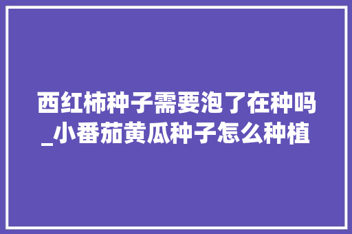 西红柿种子需要泡了在种吗_小番茄黄瓜种子怎么种植视频 西红柿种子需要泡了在种吗_小番茄黄瓜种子怎么种植视频 土壤施肥
