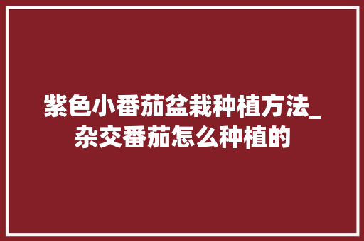 紫色小番茄盆栽种植方法_杂交番茄怎么种植的