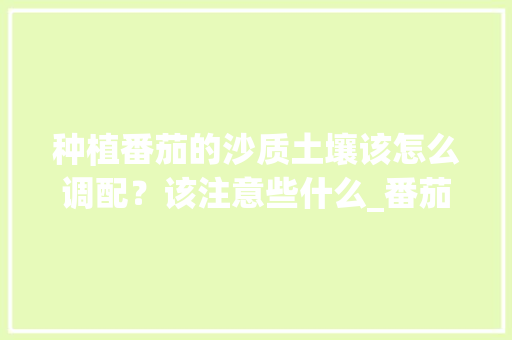 种植番茄的沙质土壤该怎么调配？该注意些什么_番茄种植群名称怎么起好听 种植番茄的沙质土壤该怎么调配？该注意些什么_番茄种植群名称怎么起好听 农业常识