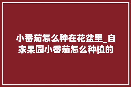 小番茄怎么种在花盆里_自家果园小番茄怎么种植的 小番茄怎么种在花盆里_自家果园小番茄怎么种植的 农业常识