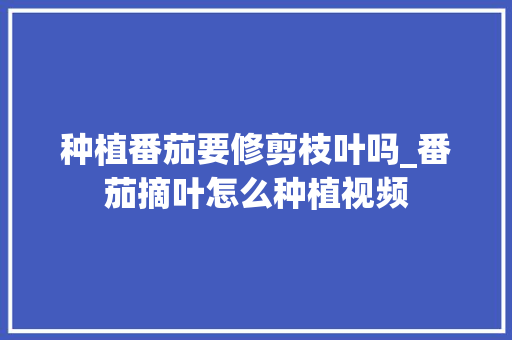 种植番茄要修剪枝叶吗_番茄摘叶怎么种植视频