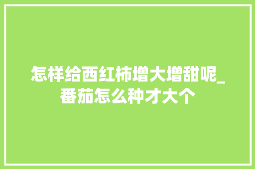 怎样给西红柿增大增甜呢_番茄怎么种才大个