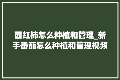 西红柿怎么种植和管理_新手番茄怎么种植和管理视频 西红柿怎么种植和管理_新手番茄怎么种植和管理视频 植物种类
