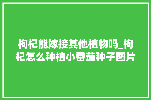枸杞能嫁接其他植物吗_枸杞怎么种植小番茄种子图片